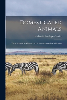 Paperback Domesticated Animals: Their Relation to Man and to His Advancement in Civilization Book