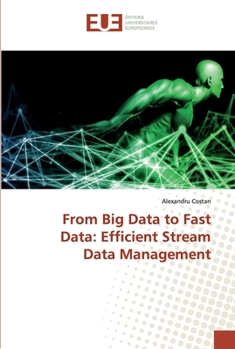 Paperback From Big Data to Fast Data: Efficient Stream Data Management Book