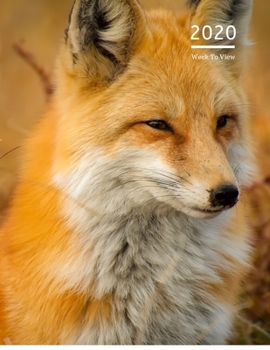 2020 A4 Diary Week To View Planner For All Occasions: | Year Planner For Business, Office, Home, University, College, School, Appointments, Organizer.