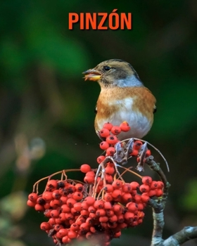 Pinzón: Libro para niños con imágenes asombrosas y datos curiosos sobre los Pinzón
