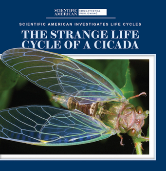 Paperback The Strange Life Cycle of a Cicada Book