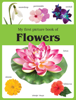 Paperback My First Book Of Flowers Book