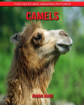 Paperback Camels: Fun Facts and Amazing Pictures Book