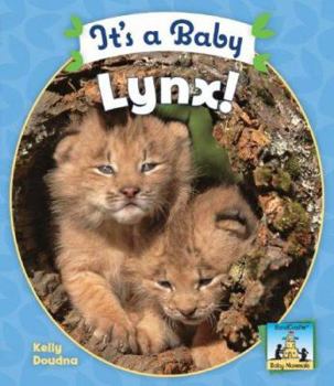 Library Binding It's a Baby Lynx! Book