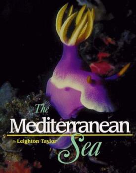 Library Binding Mediterranean Sea Book