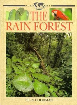 Hardcover The Rain Forest Book