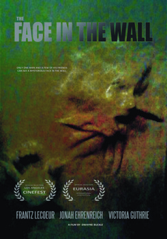 DVD The Face in the Wall Book