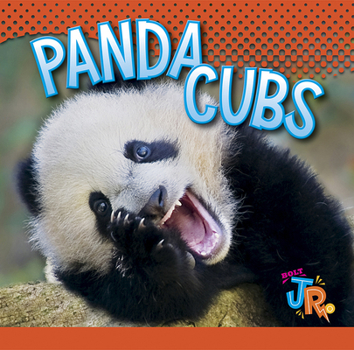 Paperback Panda Cubs Book
