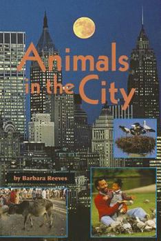 Paperback Animals in the City Book