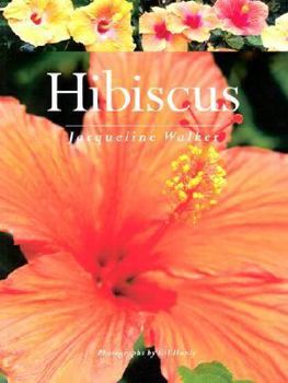 Paperback Hibiscus Book