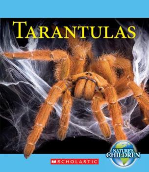 Paperback Tarantulas Book