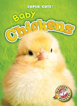 Baby Chickens - Book  of the Super Cute!