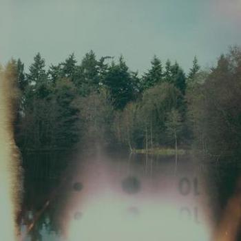 Vinyl The Loss Of Wilderness (Coke Bottle Clea Book