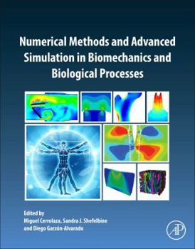 Paperback Numerical Methods and Advanced Simulation in Biomechanics and Biological Processes Book