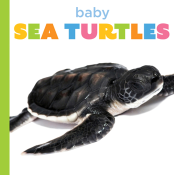 Baby Sea Turtles (Starting Out)