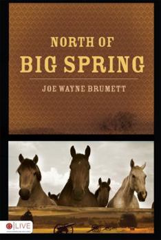 Paperback North of Big Spring Book