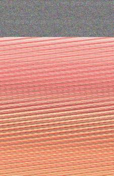 Paperback Sleeping with Dog Tags Book