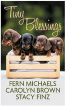 Library Binding Tiny Blessings [Large Print] Book