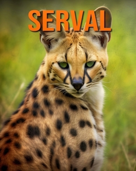 Paperback Serval: Lustige und faszinierende Fakten und Bilder über Serval [German] Book