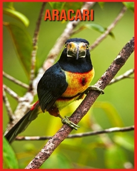 Aracari: Children Book of Fun Facts & Amazing Photos
