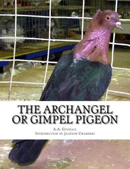 Paperback The Archangel or Gimpel Pigeon: Pigeon Breeds Book 8 Book