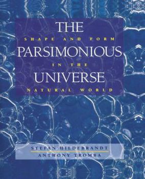 Hardcover The Parsimonious Universe: Shape and Form in the Natural World Book