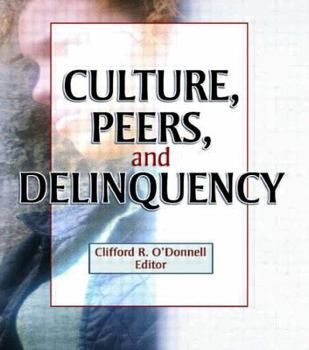 Paperback Culture, Peers, and Delinquency Book