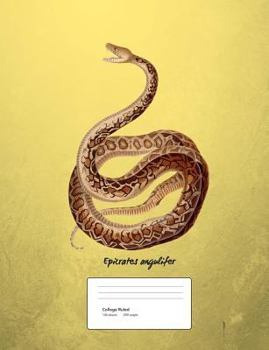 Paperback Snake Boa Constrictor Composition Book College Ruled: Notebook 200 pages 100 sheets Book