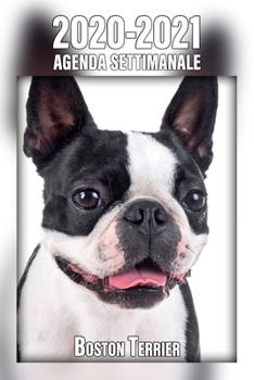 2020-2021 Agenda Settimanale Boston Terrier: 221 Pagine | Dimensioni DIN A5 | Pianificatore | 24 Mesi | Due Pagine Per Settimana | Calendario | Diario | Cane | In Italiano (Italian Edition)