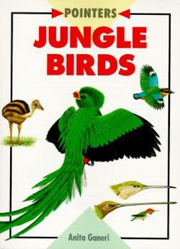 Paperback Jungle Birds (Pointers) Book