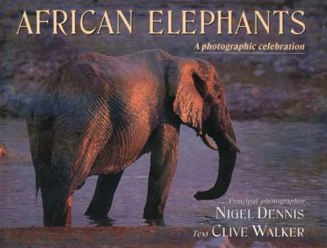 Hardcover African Elephants Book