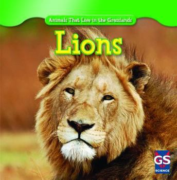 Lions - Book  of the Animals That Live in the Grasslands