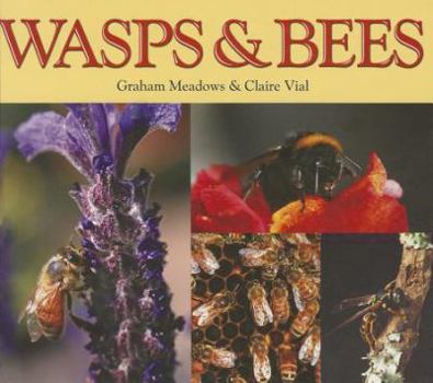Paperback Wasps & Bees Book