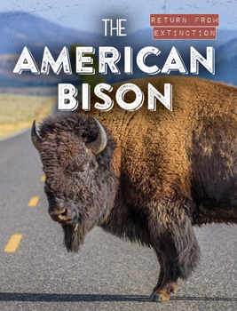 Library Binding The American Bison Book