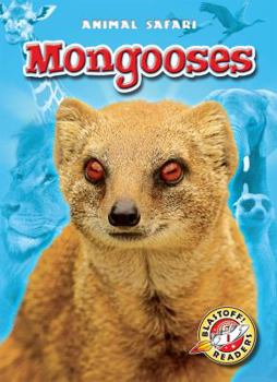 Mongooses - Book  of the Animal Safari