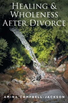 Paperback Healing and Wholeness After Divorce Book
