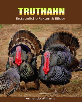 Paperback Truthahn: Erstaunliche Fakten & Bilder [German] Book