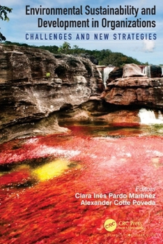 Paperback Environmental Sustainability and Development in Organizations: Challenges and New Strategies Book