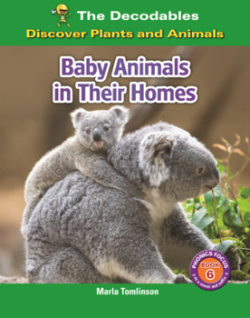 Library Binding Baby Animals in Their Homes Book