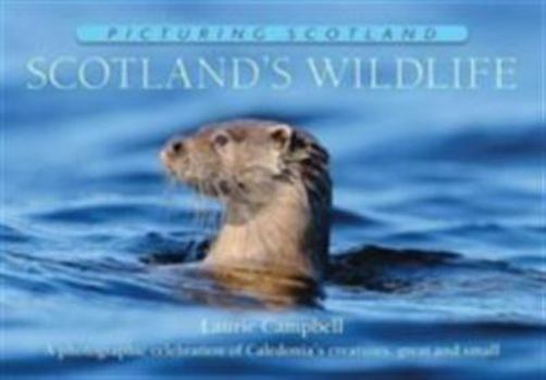 Hardcover Scotland's Wildlife (Picturing Scotland) Book