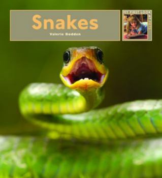 Snakes - Book  of the My First Look At: Pets