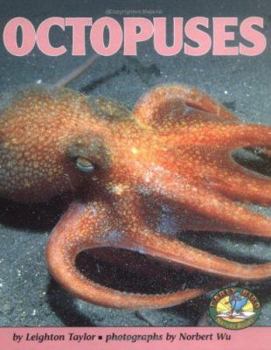 Hardcover Octopuses Book