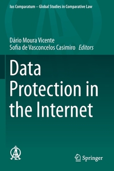 Paperback Data Protection in the Internet Book