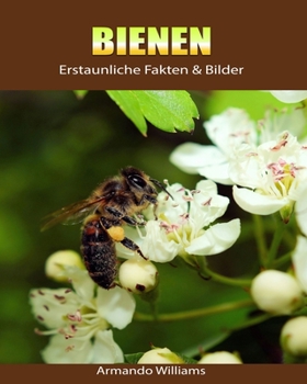 Paperback Bienen: Erstaunliche Fakten & Bilder [German] Book