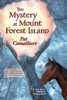 Paperback The Mystery at Mount Forest Island Book