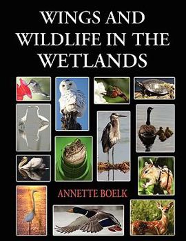 Paperback Wings and Wildlife in the Wetlands Book