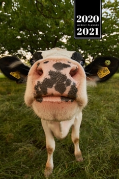 Cow Cattle Farming Farmer Week Planner Weekly Organizer Calendar 2020 / 2021 - Sniff: Cute Wildlife Animal Pet Bullet Journal Notebook Diary in 6” x 9” Inch Pocket Size
