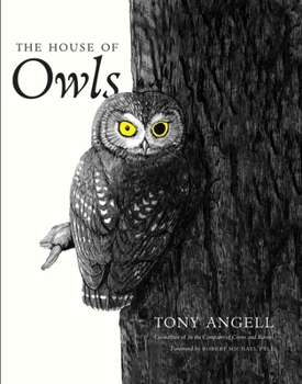 Hardcover The House of Owls Book