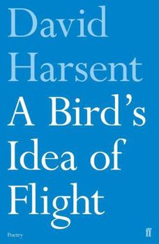 Paperback A Bird's Idea of Flight Book