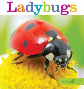 Ladybugs - Book  of the Seedlings